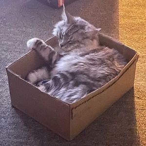 Meet your Posher, Kasey